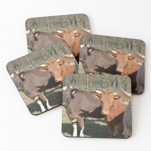 Item preview, Photo of Simmental Cows designed and sold by TheAnimalZ00.