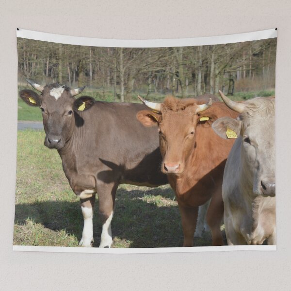 Item preview, Photo of Simmental Cows designed and sold by TheAnimalZ00.