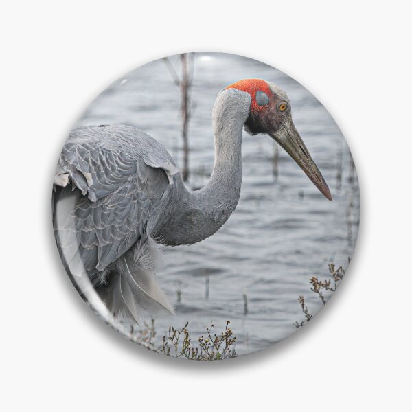 Item preview, Brolga in the wind. designed and sold by PVphotography.