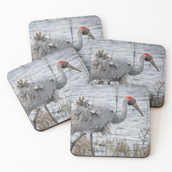 Item preview, Brolga in the wind. designed and sold by PVphotography.