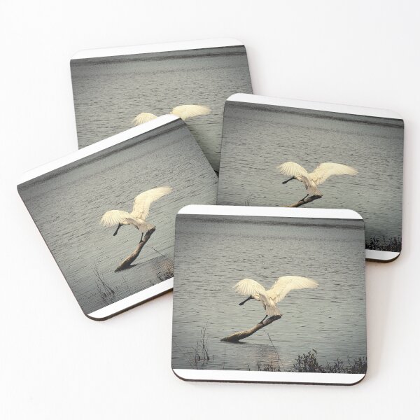 Item preview, Royal Spoonbill designed and sold by PVphotography.