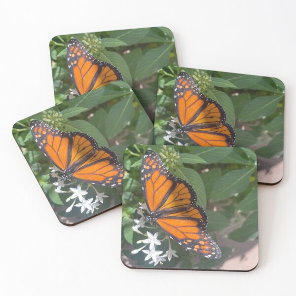 Item preview, Butterfly landing designed and sold by Ferraferalcat.