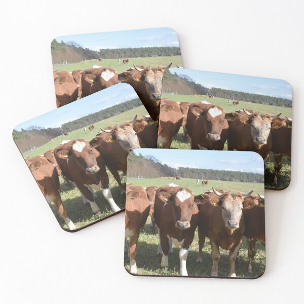 Item preview, Simmental Cattle Photo designed and sold by TheAnimalZ00.