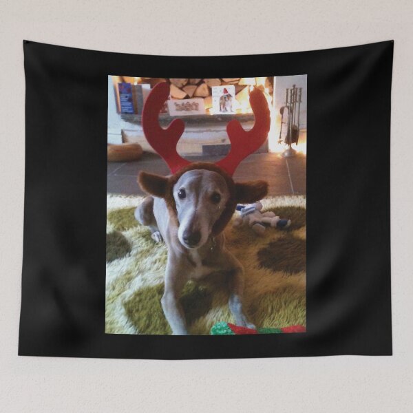 Item preview, Divertido perro Whippet navideño en calcetín navideño designed and sold by bowlin-keyli.