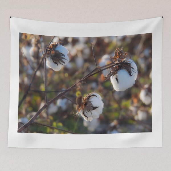 Item preview, Cotton designed and sold by Alla Gill.