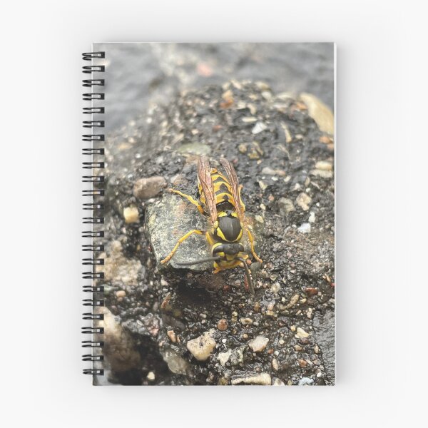 Item preview, Stone wasp designed and sold by Sunnella.