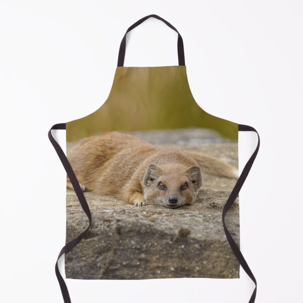 Item preview, The Mongoose's Gaze designed and sold by rawshutterbug.