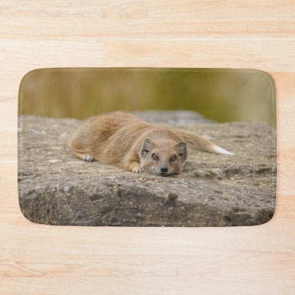 Item preview, The Mongoose's Gaze designed and sold by rawshutterbug.