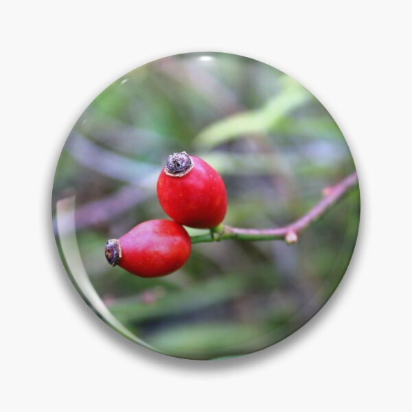 Item preview, rose hips designed and sold by KathleenDawson.