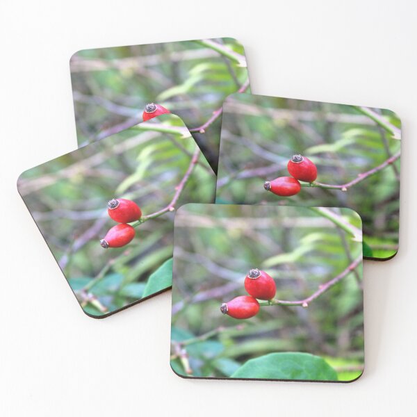 Item preview, rose hips designed and sold by KathleenDawson.