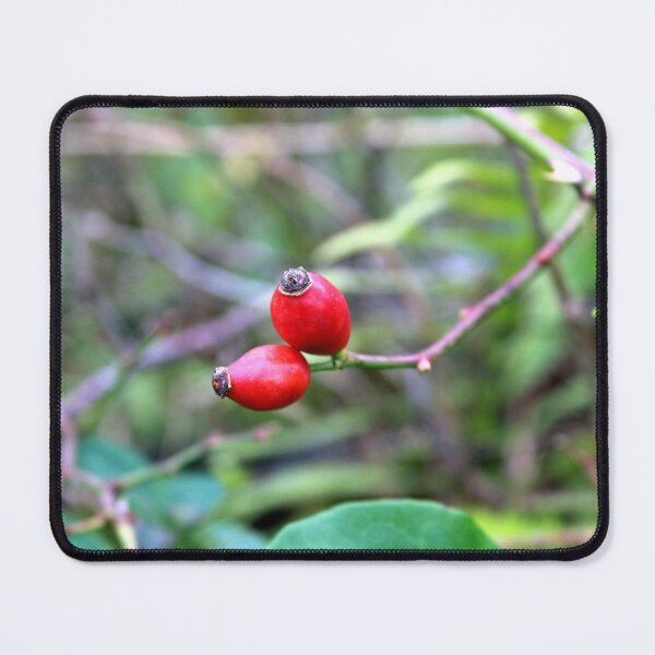 Item preview, rose hips designed and sold by KathleenDawson.