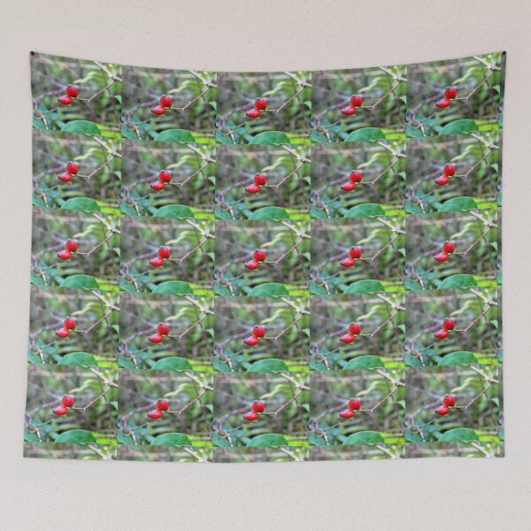 Item preview, rose hips designed and sold by KathleenDawson.