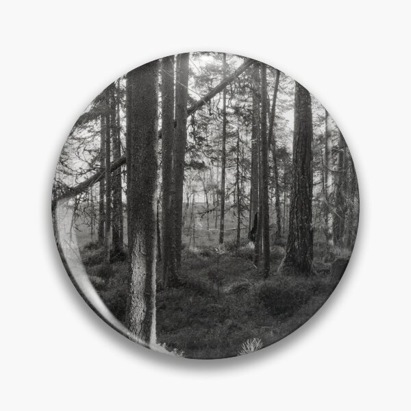 Item preview, Late fall morning bw designed and sold by Jouko Lehto Photography.