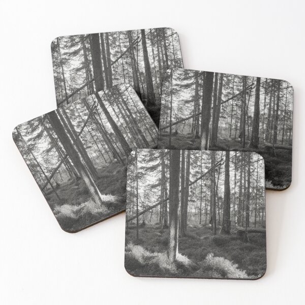 Item preview, Late fall morning bw designed and sold by Jouko Lehto Photography.