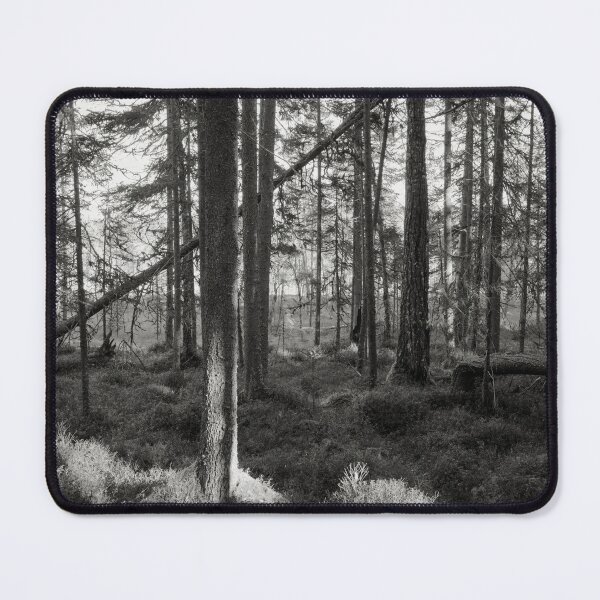 Item preview, Late fall morning bw designed and sold by Jouko Lehto Photography.
