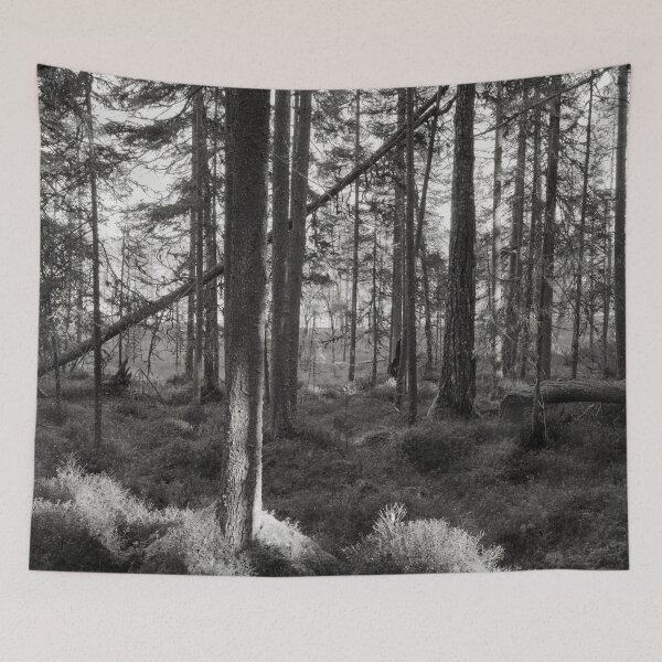 Item preview, Late fall morning bw designed and sold by Jouko Lehto Photography.