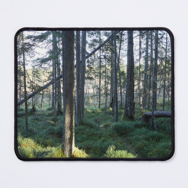 Item preview, Late fall morning designed and sold by Jouko Lehto Photography.