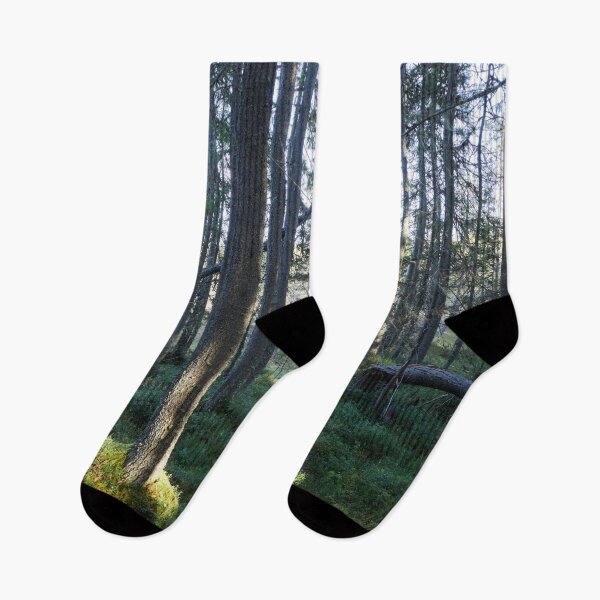 Item preview, Late fall morning designed and sold by Jouko Lehto Photography.