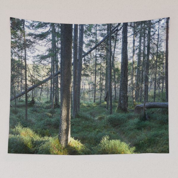 Item preview, Late fall morning designed and sold by Jouko Lehto Photography.