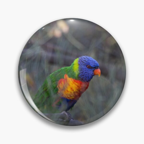 Item preview, Rainbow Lorikeet designed and sold by margotk.