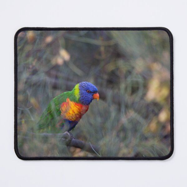 Item preview, Rainbow Lorikeet designed and sold by margotk.