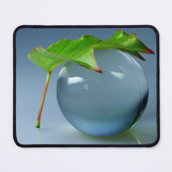Item preview, Security | Insurance coverage | Environmental protection | Climate protection designed and sold by SmoothBreeze7 | Liz Collet Photography.