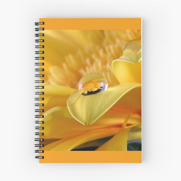 Item preview, Gerbera's Drop of Life designed and sold by SmoothBreeze7 | Liz Collet Photography.