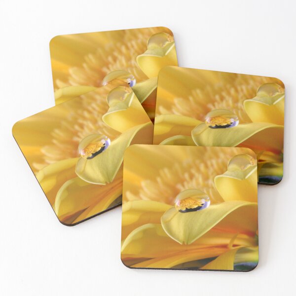 Item preview, Gerbera's Drop of Life designed and sold by SmoothBreeze7 | Liz Collet Photography.