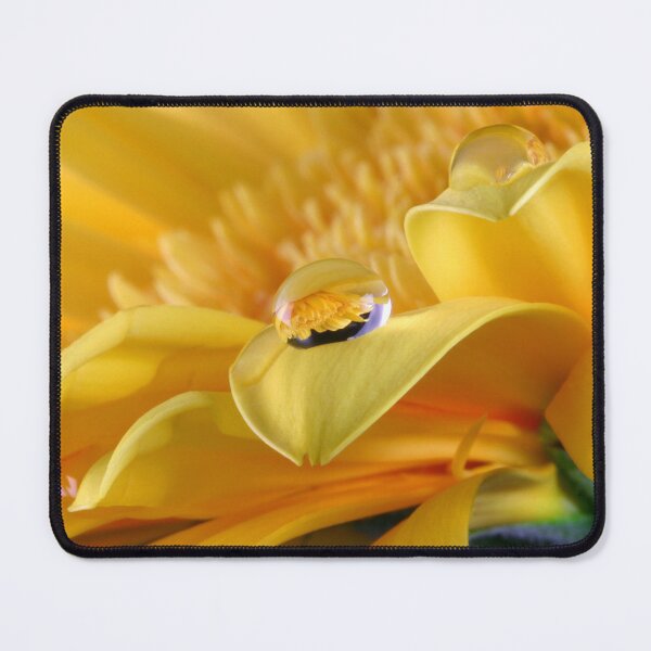 Item preview, Gerbera's Drop of Life designed and sold by SmoothBreeze7 | Liz Collet Photography.