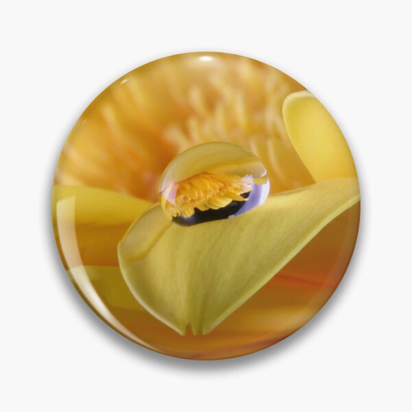 Item preview, Gerbera's Drop of Life designed and sold by SmoothBreeze7 | Liz Collet Photography.