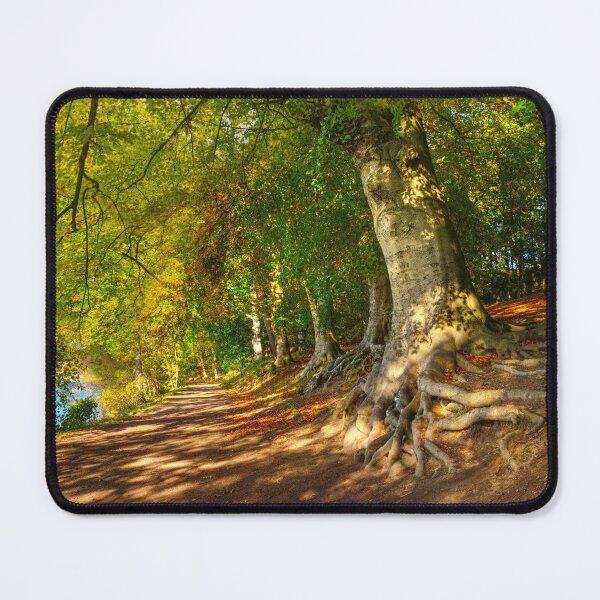 Item preview, Newmillerdam Country Park designed and sold by Alisonchambers2.