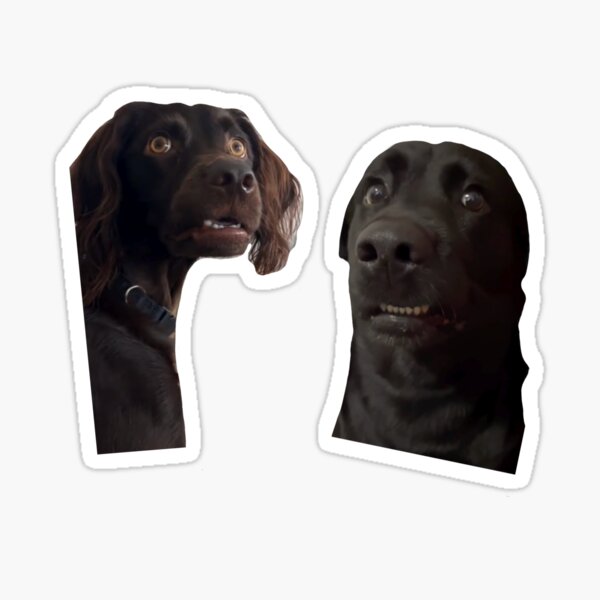 Meme Dog Stickers for Sale