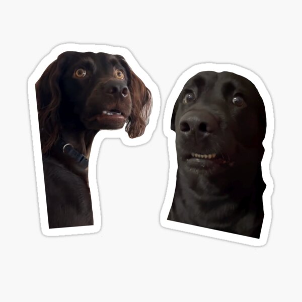 Item preview, Viral dog meme designed and sold by Lovedesigning25.