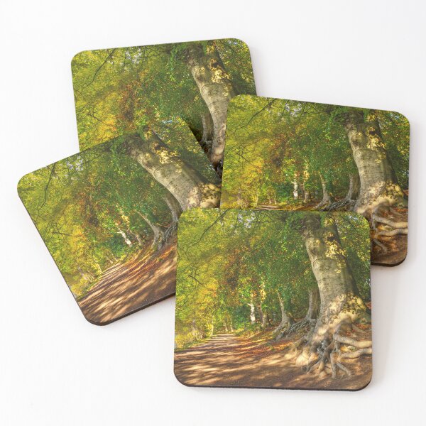 Item preview, Newmillerdam Country Park designed and sold by Alisonchambers2.
