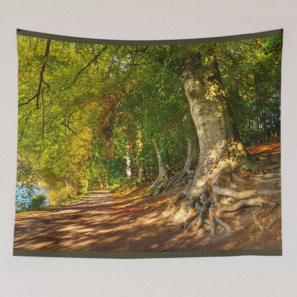 Item preview, Newmillerdam Country Park designed and sold by Alisonchambers2.