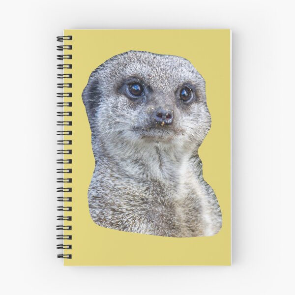 Item preview, Who you looking at! Meerkat designed and sold by Dalyndigital Photography.