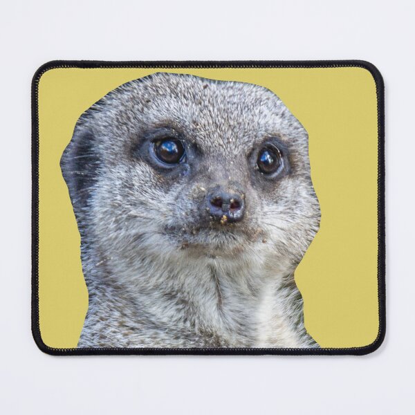 Item preview, Who you looking at! Meerkat designed and sold by Dalyndigital Photography.