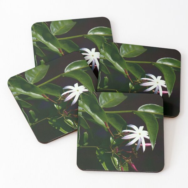 Item preview, Jasmine Bloom designed and sold by MercerImages.