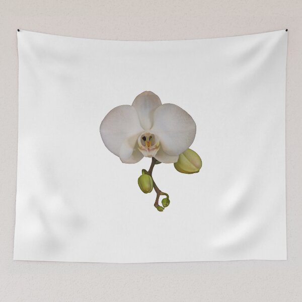 Item preview, White Orchid on Black designed and sold by KRBailey.