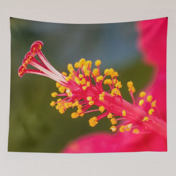 Item preview, hibisco designed and sold by Tereza Pilar Art.