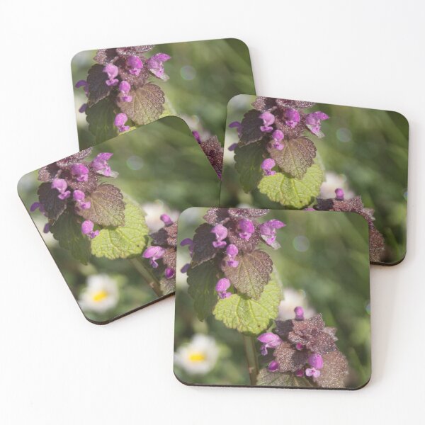 Item preview, Red Dead Nettle 2 designed and sold by Calidris Fotografie Steffi & Ben Köppler.