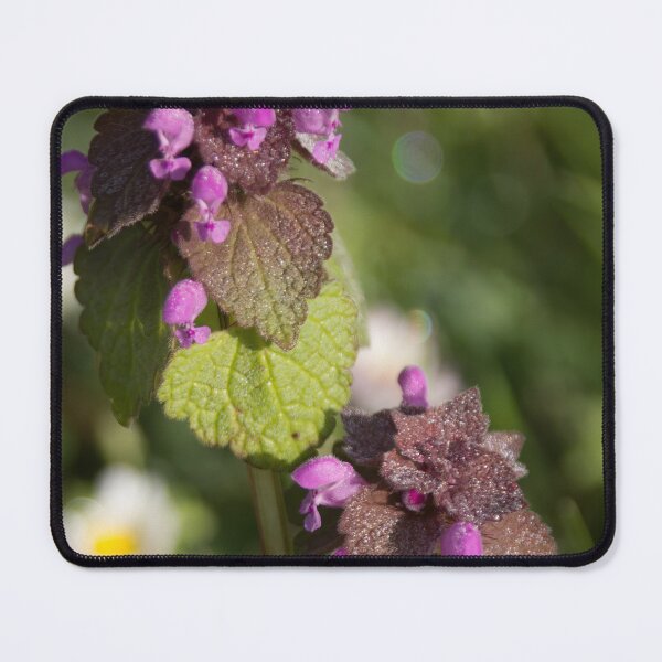 Item preview, Red Dead Nettle 2 designed and sold by Calidris Fotografie Steffi & Ben Köppler.