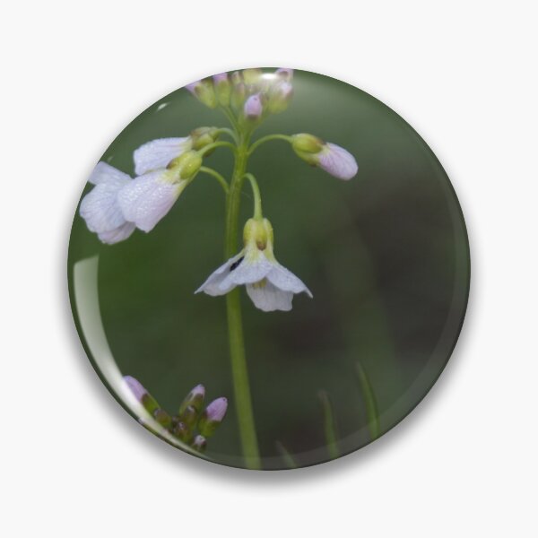 Item preview, Cuckoo's Flower designed and sold by Calidris Fotografie Steffi & Ben Köppler.