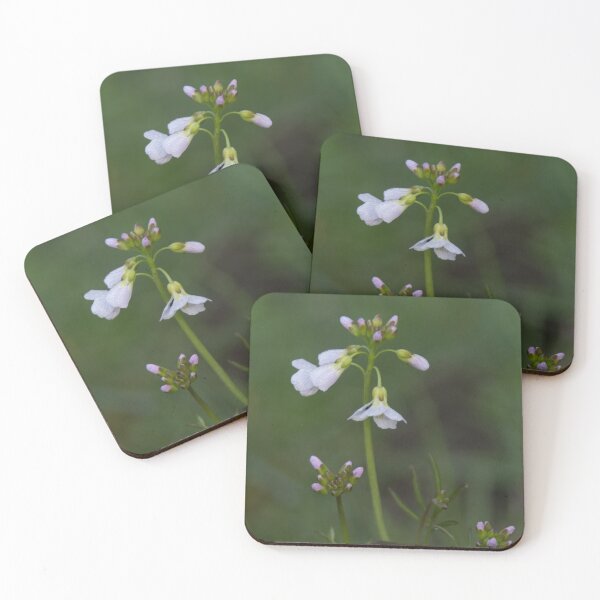 Item preview, Cuckoo's Flower designed and sold by Calidris Fotografie Steffi & Ben Köppler.