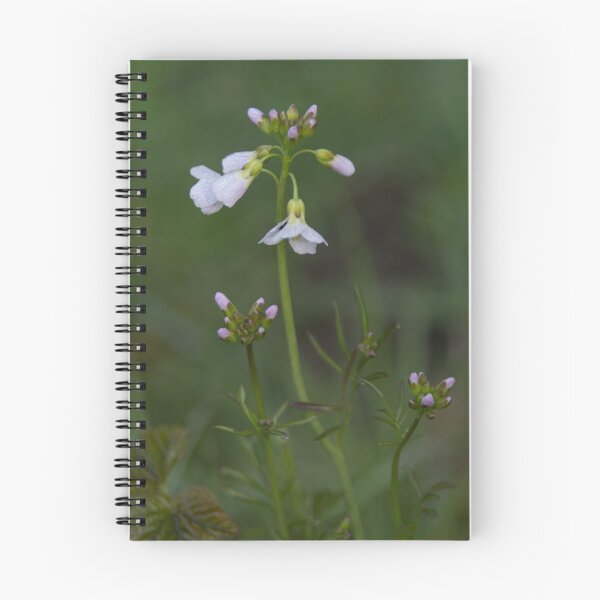 Item preview, Cuckoo's Flower designed and sold by Calidris Fotografie Steffi & Ben Köppler.