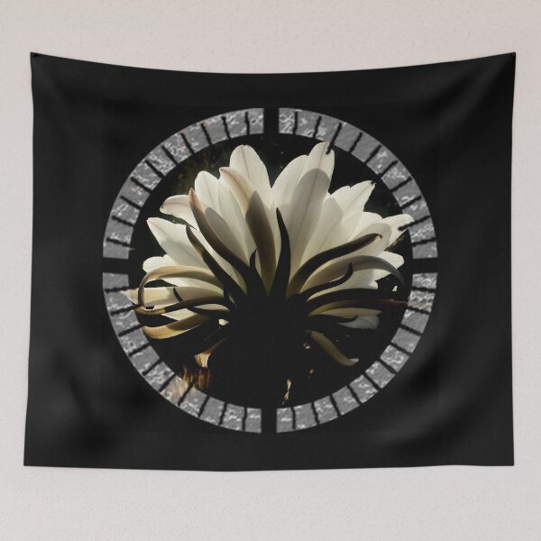 Item preview, White Cactus flower facing the light by Iritof designed and sold by iritof.