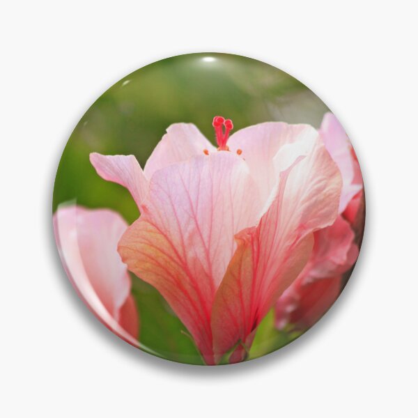 Item preview, hibiscus designed and sold by Tereza Pilar  Art.