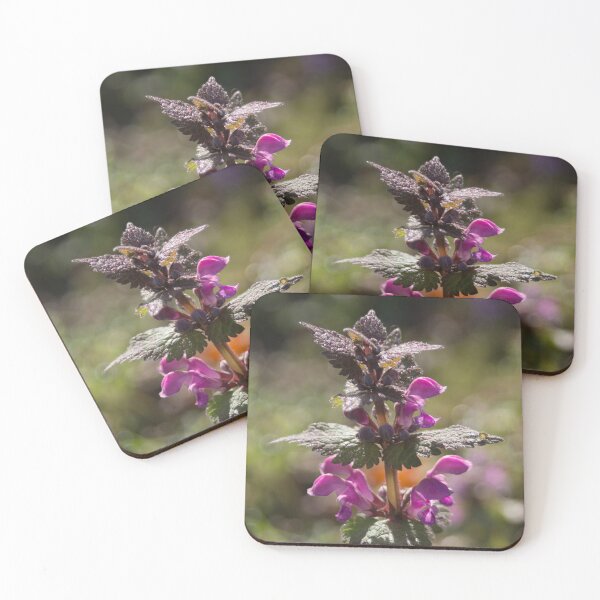 Item preview, Red Dead Nettle 3 designed and sold by Calidris Fotografie Steffi & Ben Köppler.
