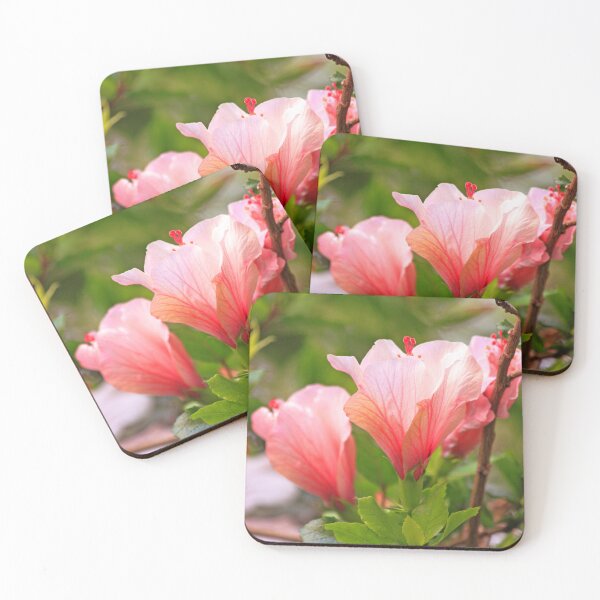 Item preview, hibiscus designed and sold by Tereza Pilar  Art.