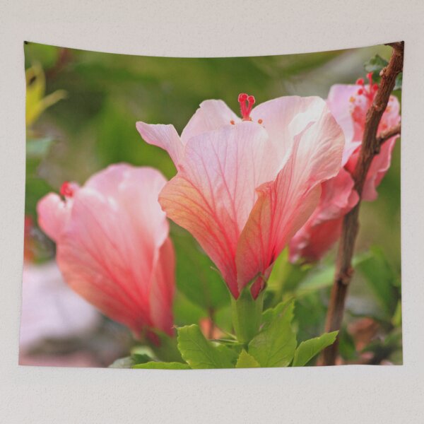Item preview, hibiscus designed and sold by Tereza Pilar  Art.